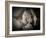 Best Friends-Dan Ballard-Framed Photographic Print