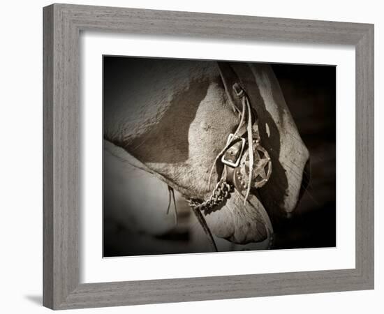 Best Friends-Dan Ballard-Framed Photographic Print