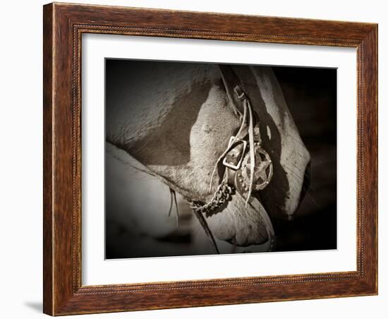 Best Friends-Dan Ballard-Framed Photographic Print