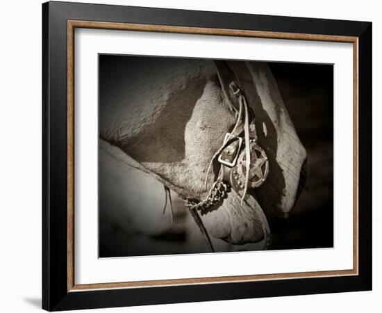 Best Friends-Dan Ballard-Framed Photographic Print