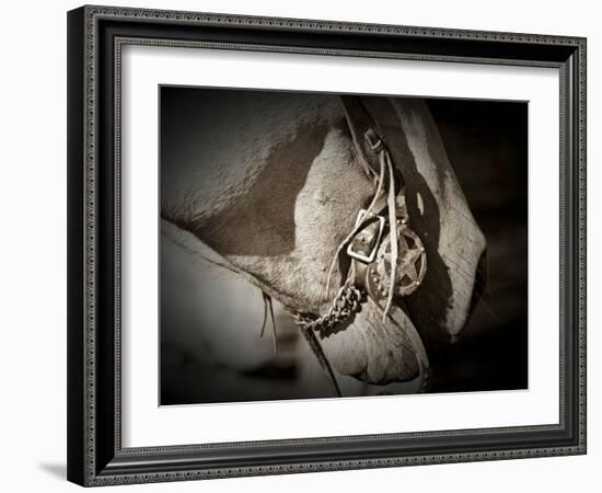 Best Friends-Dan Ballard-Framed Photographic Print