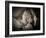 Best Friends-Dan Ballard-Framed Photographic Print