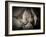 Best Friends-Dan Ballard-Framed Photographic Print