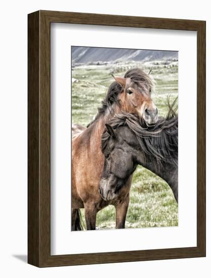 Best Friends-Danny Head-Framed Photographic Print