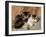 Best of Friends-Henriette Ronner-Knip-Framed Giclee Print