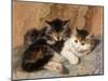 Best of Friends-Henriette Ronner-Knip-Mounted Giclee Print