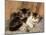 Best of Friends-Henriette Ronner-Knip-Mounted Giclee Print