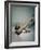 Best Selling Christmas Gifts - Lace Stockings-Nina Leen-Framed Photographic Print