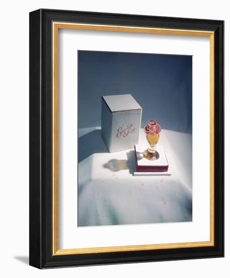 Best Selling Christmas Gifts - Lacquered Items-Nina Leen-Framed Photographic Print