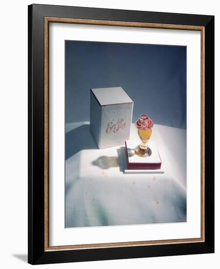 Best Selling Christmas Gifts - Lacquered Items-Nina Leen-Framed Photographic Print