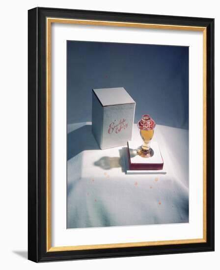 Best Selling Christmas Gifts - Lacquered Items-Nina Leen-Framed Photographic Print