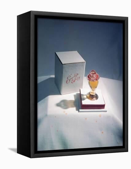 Best Selling Christmas Gifts - Lacquered Items-Nina Leen-Framed Premier Image Canvas