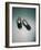 Best Selling Christmas Gifts - Peephole Shoes-Nina Leen-Framed Photographic Print