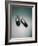 Best Selling Christmas Gifts - Peephole Shoes-Nina Leen-Framed Photographic Print