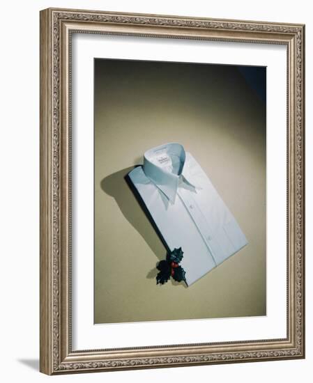 Best Selling Christmas Gifts - Pressed Shirt-Nina Leen-Framed Photographic Print