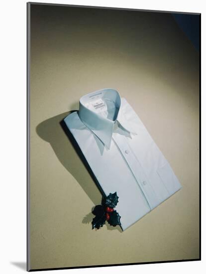 Best Selling Christmas Gifts - Pressed Shirt-Nina Leen-Mounted Photographic Print