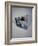 Best Selling Christmas Gifts - Strauss Waltze Book-Nina Leen-Framed Photographic Print