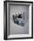 Best Selling Christmas Gifts - Strauss Waltze Book-Nina Leen-Framed Photographic Print