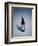 Best Selling Christmas Gifts - York House Wine-Nina Leen-Framed Photographic Print