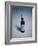 Best Selling Christmas Gifts - York House Wine-Nina Leen-Framed Photographic Print