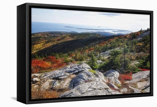 Best View from the Cadillac Mountain-George Oze-Framed Premier Image Canvas