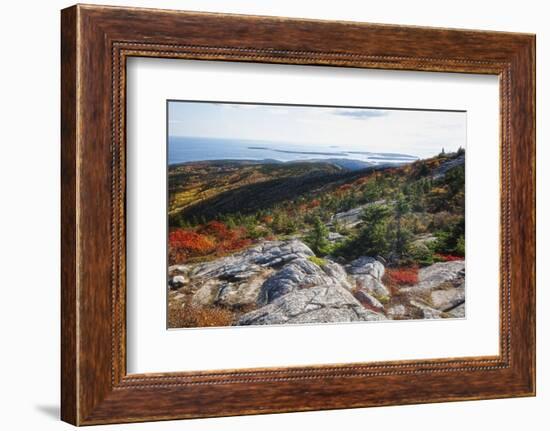 Best View from the Cadillac Mountain-George Oze-Framed Photographic Print