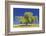 Best Willow-Nancy Crowell-Framed Photographic Print