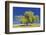 Best Willow-Nancy Crowell-Framed Photographic Print