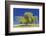 Best Willow-Nancy Crowell-Framed Photographic Print