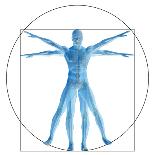 Vitruvian Human or Man, Anatomy Body for Biology-bestdesign36-Framed Art Print