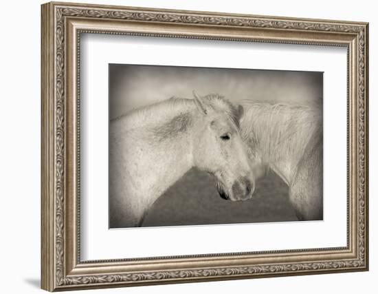 Besties-Valda Bailey-Framed Photographic Print