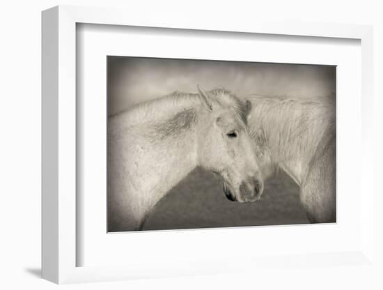 Besties-Valda Bailey-Framed Photographic Print