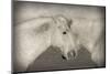 Besties-Valda Bailey-Mounted Photographic Print