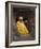 Bet Medhane Alem (Saviour of the World), Lalibela, Ethiopia, Africa-Gavin Hellier-Framed Photographic Print