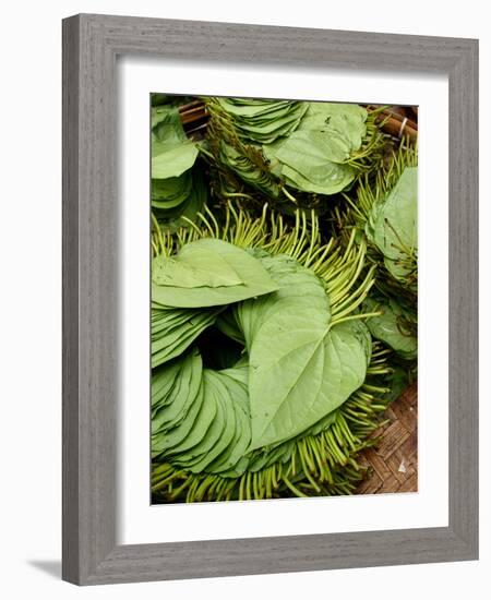 Betel Leaves (Piper Betle) Used to Make Quids for Sale at Market, Myanmar-Jay Sturdevant-Framed Photographic Print