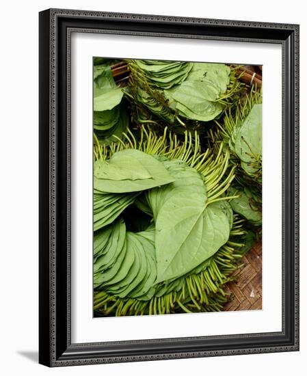 Betel Leaves (Piper Betle) Used to Make Quids for Sale at Market, Myanmar-Jay Sturdevant-Framed Photographic Print