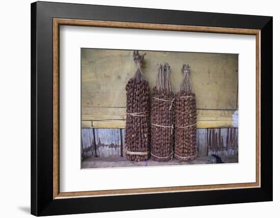 Betel nut (Areca catechu) for sale in a market in Maubisse, East Timor, Southeast Asia, Asia-Michael Runkel-Framed Photographic Print