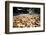 Betel Nuts Being Sold in Pulua Weh, Sumatra, Indonesia, Southeast Asia-John Alexander-Framed Photographic Print