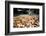 Betel Nuts Being Sold in Pulua Weh, Sumatra, Indonesia, Southeast Asia-John Alexander-Framed Photographic Print