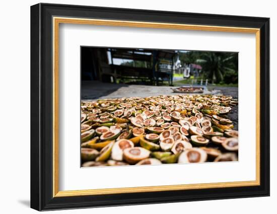 Betel Nuts Being Sold in Pulua Weh, Sumatra, Indonesia, Southeast Asia-John Alexander-Framed Photographic Print