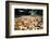 Betel Nuts Being Sold in Pulua Weh, Sumatra, Indonesia, Southeast Asia-John Alexander-Framed Photographic Print