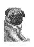 Ralph the Pug-Beth Thomas-Mounted Art Print