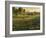 Bethel Farm Morning-Bruce Dumas-Framed Giclee Print