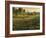 Bethel Farm Morning-Bruce Dumas-Framed Giclee Print