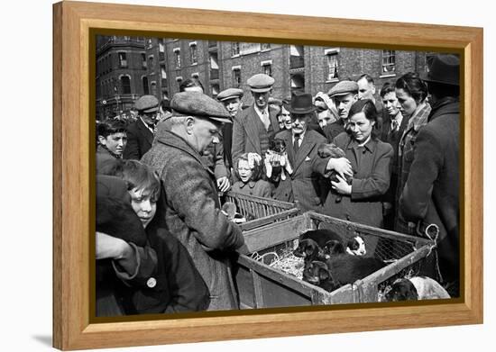 Bethnal Green Wast London Street Pet Market 1946-George Greenwell-Framed Premier Image Canvas