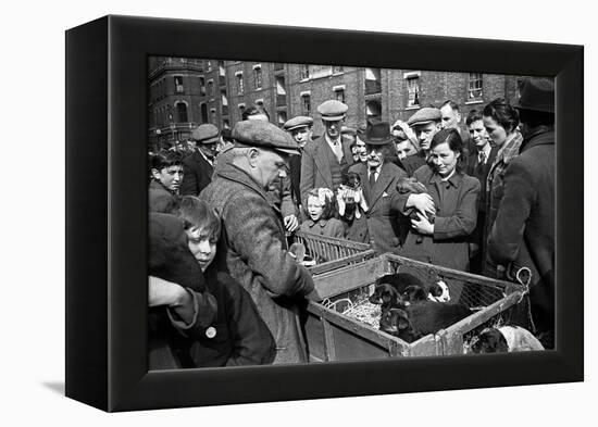 Bethnal Green Wast London Street Pet Market 1946-George Greenwell-Framed Premier Image Canvas