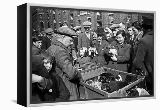 Bethnal Green Wast London Street Pet Market 1946-George Greenwell-Framed Premier Image Canvas