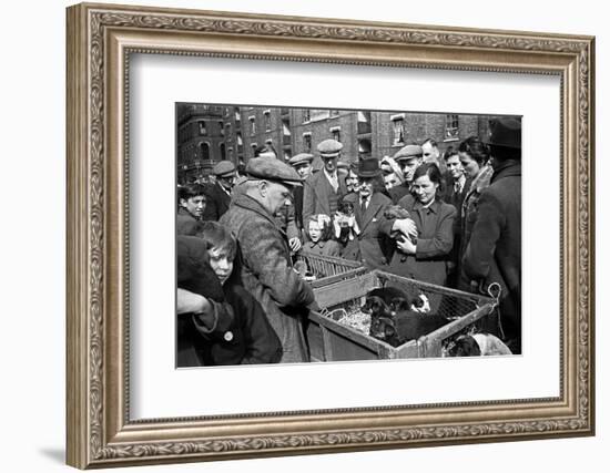 Bethnal Green Wast London Street Pet Market 1946-George Greenwell-Framed Photographic Print