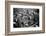 Bethnal Green Wast London Street Pet Market 1946-George Greenwell-Framed Photographic Print