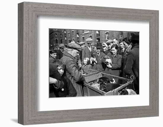 Bethnal Green Wast London Street Pet Market 1946-George Greenwell-Framed Photographic Print